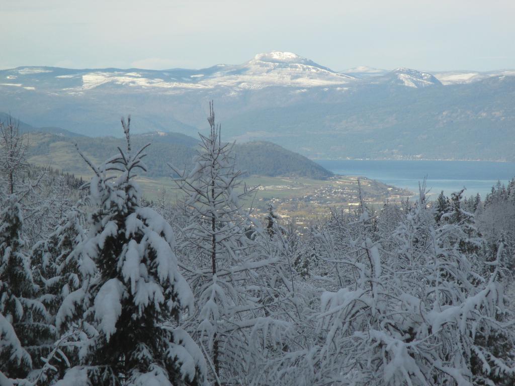 Silver Star Bed&Breakfast Bed and Breakfast Vernon Exteriör bild