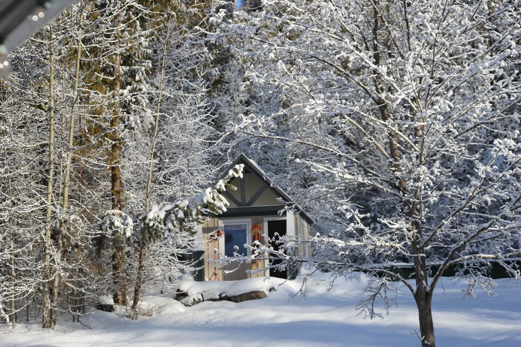 Silver Star Bed&Breakfast Bed and Breakfast Vernon Exteriör bild