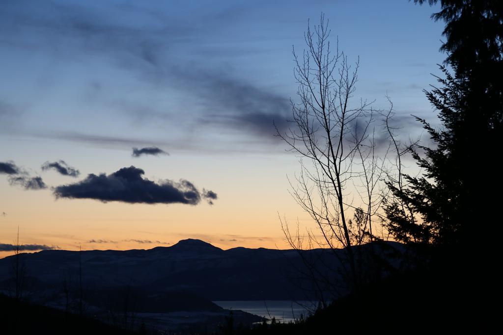 Silver Star Bed&Breakfast Bed and Breakfast Vernon Exteriör bild