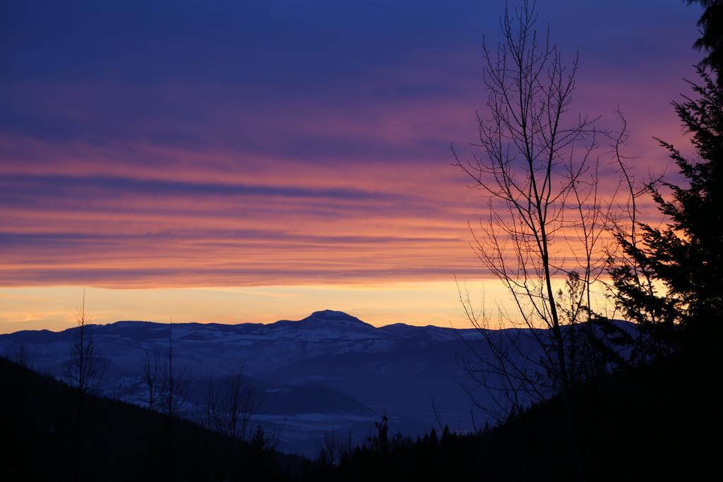 Silver Star Bed&Breakfast Bed and Breakfast Vernon Exteriör bild